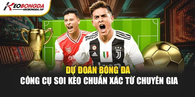 Dự Đoán Bóng Đá – Công Cụ Soi Kèo Chuẩn Xác Từ Chuyên Gia