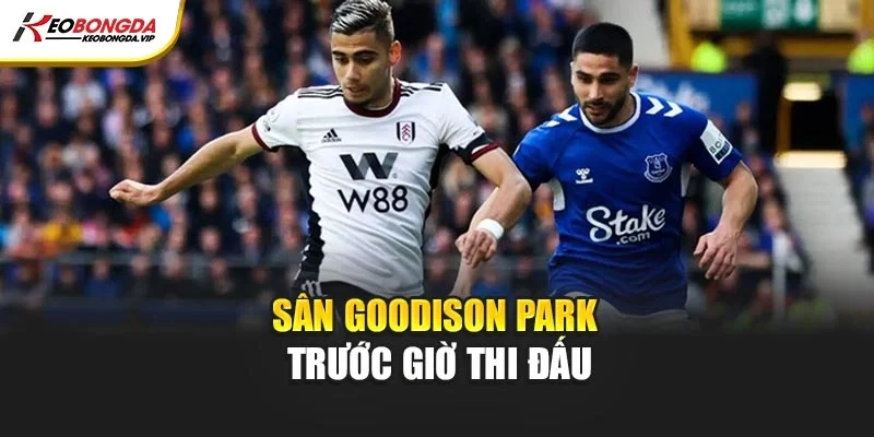 Sân Goodison Park trước giờ thi đấu