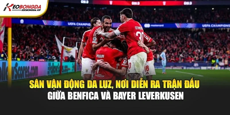 Sân vận động Da Luz, nơi diễn ra trận đấu giữa Benfica và Bayer Leverkusen