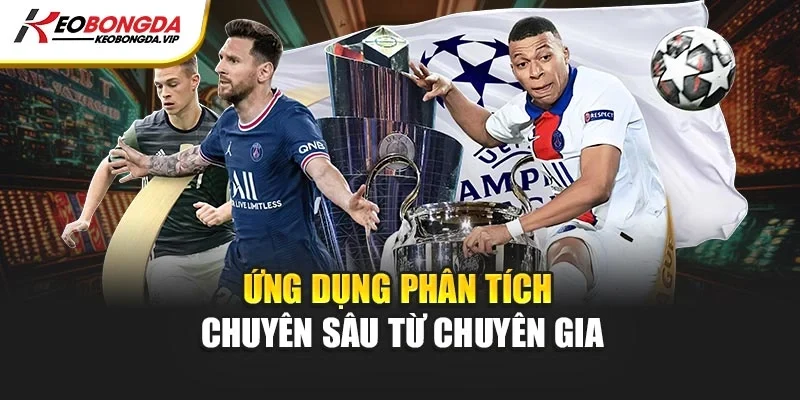Ứng dụng phân tích chuyên sâu từ chuyên gia
