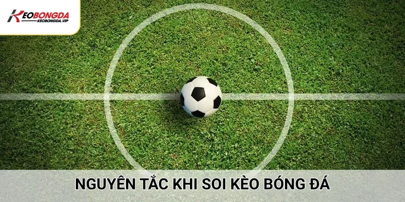 Kinh nghiệm soi kèo bóng đá dễ dàng giành chiến thắng