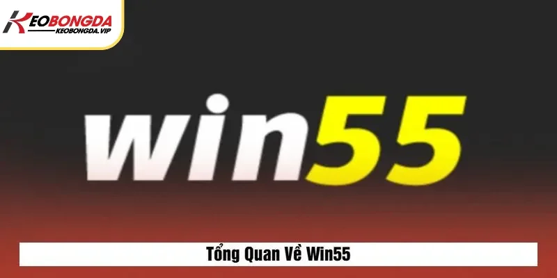 Review Win55 – Cổng Game Bài & Cá Cược Uy Tín