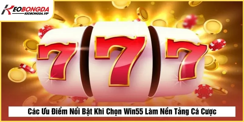 Các Ưu Điểm Nổi Bật Khi Chọn Win55 Làm Nền Tảng Cá Cược