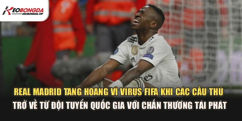 Real Madrid tang hoang vì virus FIFA khi các cầu thủ trở về từ đội tuyển quốc gia với chấn thương tái phát