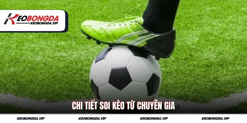 Chi tiết soi kèo từ chuyên gia