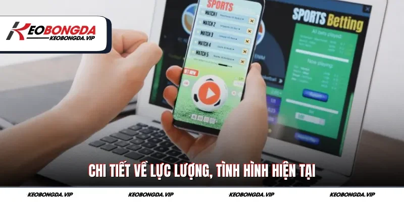 Chi tiết về lực lượng, tình hình hiện tại