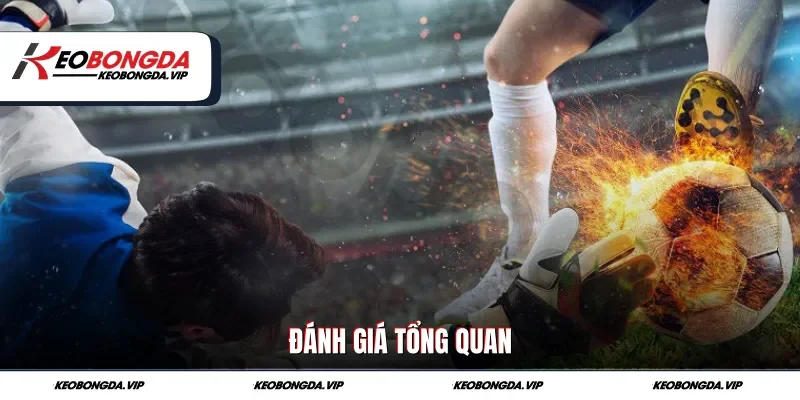 Đánh giá tổng quan