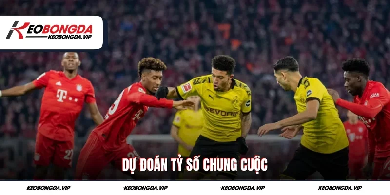 Dự đoán tỷ số chung cuộc