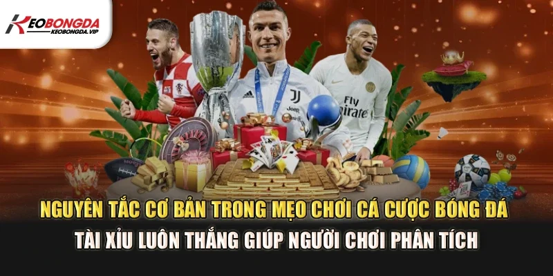 Nguyên tắc cơ bản trong mẹo chơi cá cược bóng đá tài xỉu luôn thắng hỗ trợ bạn phân tích