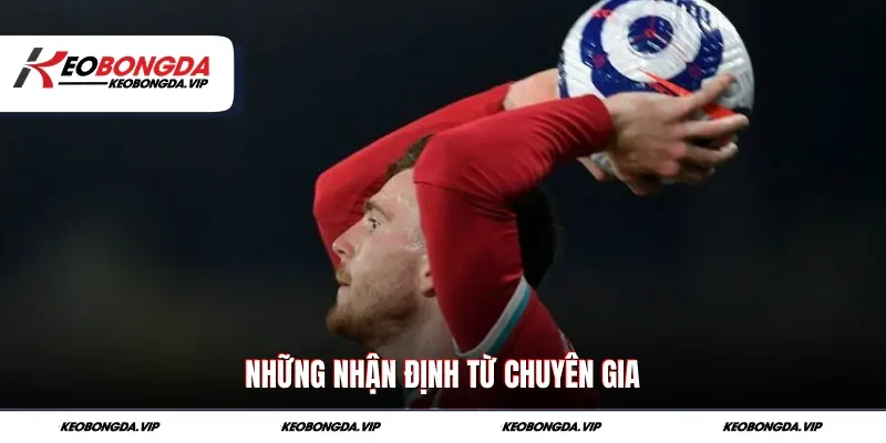 Những nhận định từ chuyên gia