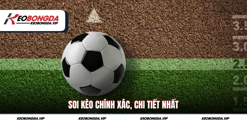 Soi kèo chính xác, chi tiết nhất