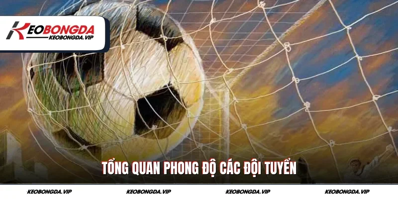 Tổng quan phong độ các đội tuyển