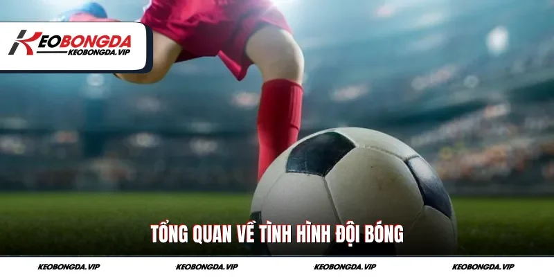 Tổng quan về tình hình đội bóng