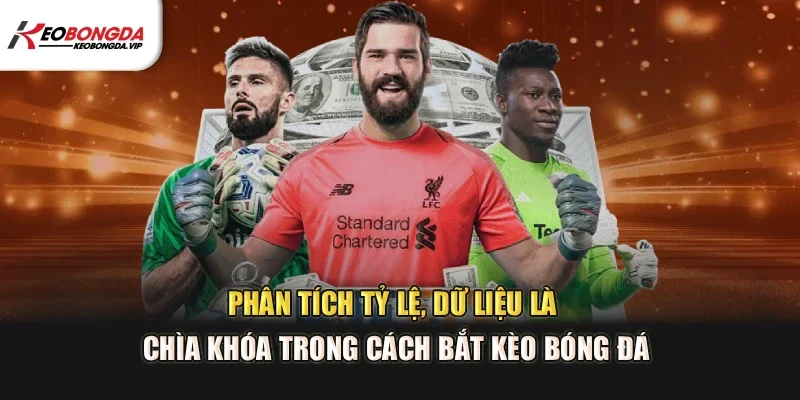 Phân tích tỷ lệ, dữ liệu là chìa khóa trong cách bắt kèo bóng đá