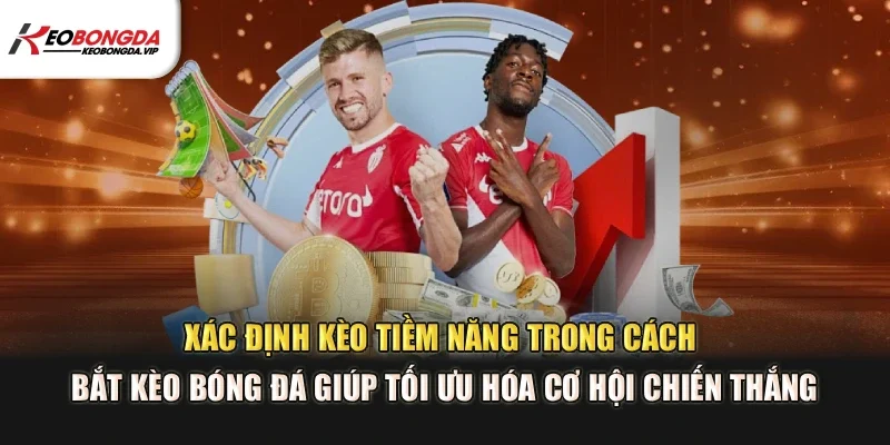 Xác định kèo tiềm năng trong cách bắt kèo bóng đá giúp tối ưu hóa cơ hội chiến thắng